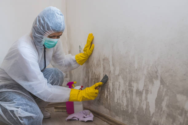 Mold Remediation for Vacation Homes in Four Corners, OR