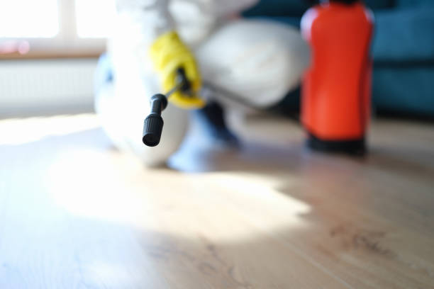 Best Asbestos and Lead Testing During Mold Inspection  in Four Cners, OR