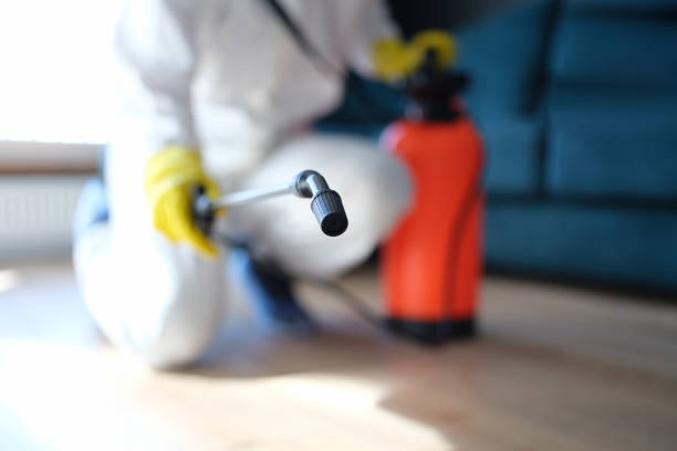 Best Emergency Mold Remediation  in Four Cners, OR