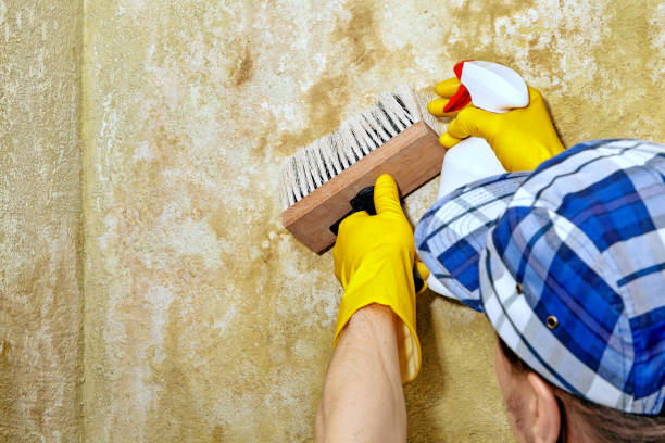 Best Air Quality Testing for Mold Spores  in Four Cners, OR