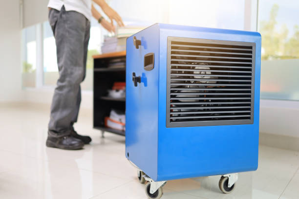 Best Airborne Mold Testing  in Four Cners, OR