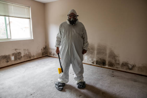 Biohazard Mold Removal in Four Corners, OR